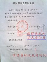 南京市劳动合同书(全日制文本)范文