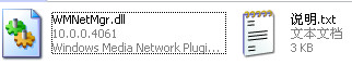 WMNetMgr.dll