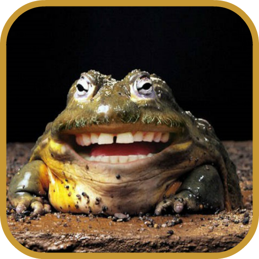 1000例photoshop经典实例