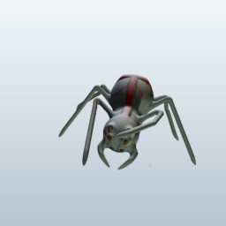 Spider 3D