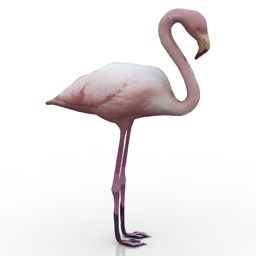 3D Flamingos