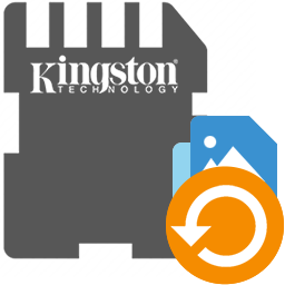 Kingston DVD Audio Ripper