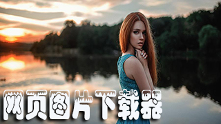 网页图片下载器