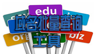 域名批量查询工具